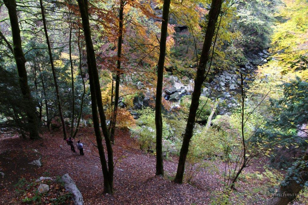 20101030_025
